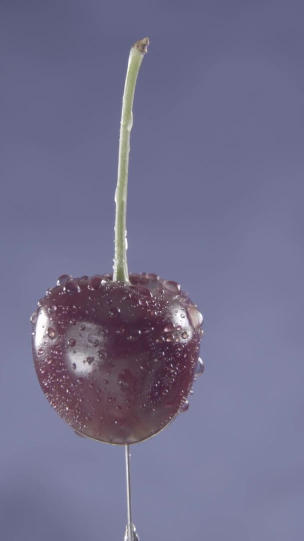 Kirsche rotierend mit Schlaufe auf blauem Bildschirm für Chroma-Taste — Stockvideo