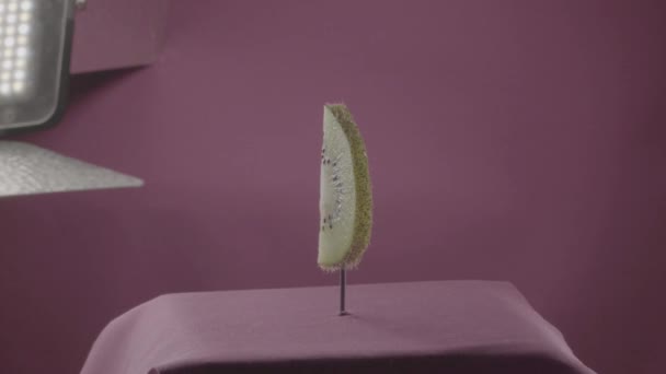 Kiwi rotiert mit Schlaufe auf Fuchsia-Bildschirm für Chroma-Taste — Stockvideo