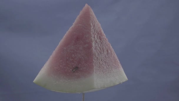 Watermelon rotating with loop on blue screen for chroma key — Stock Video