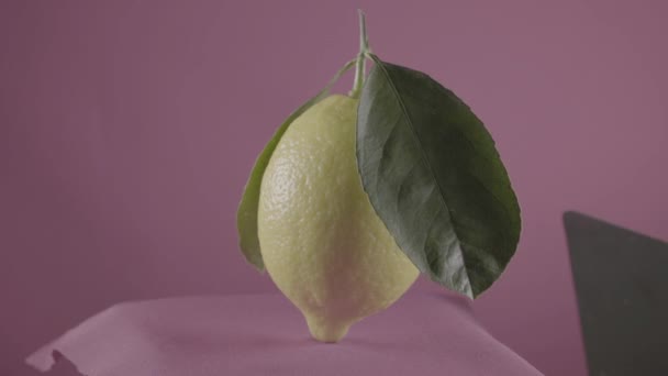 Renk tuşu için mor ekran üzerinde döngü ile limon döndürme — Stok video