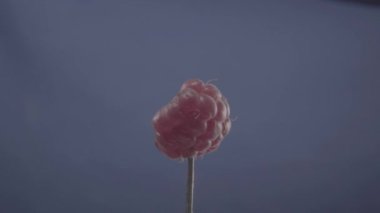 Ahududu renk anahtarı için mavi ekran üzerinde döngü ile döndürme