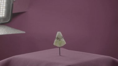 Kivi renk anahtarı için fuşya ekran üzerinde döngü ile döner