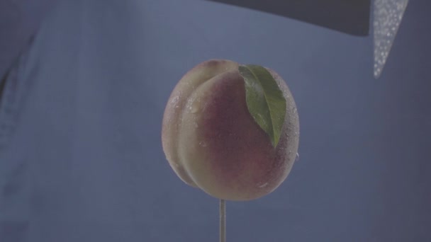 크로마 키를 위해 파란색 화면에 루프와 함께 회전하는 각 Peach — 비디오