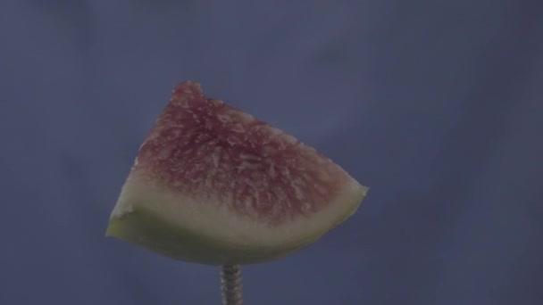 Fig roteren met lus op blauw scherm voor chroma sleutel — Stockvideo