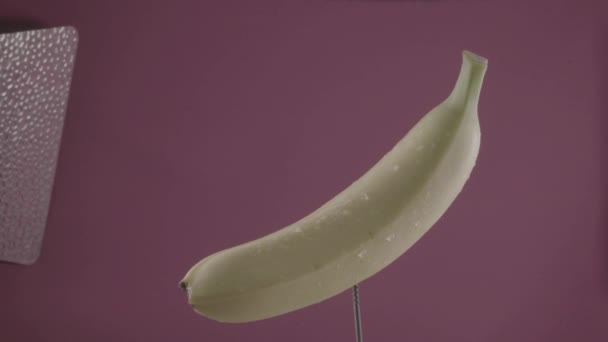 Banana berputar dengan loop di layar fuchsia untuk kunci kroma — Stok Video