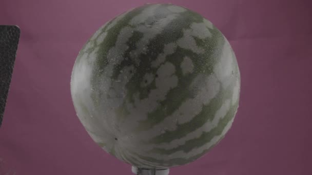 Vattenmelon roterande med ögla på fuchsia skärm för kromnyckel — Stockvideo
