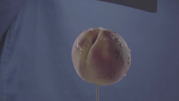 Персик вращается с петлей на синем экране для хроматического ключа — стоковое видео