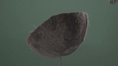 Krom anahtarı için yeşil ekran üzerinde döngü ile hindistan cevizi döndürme