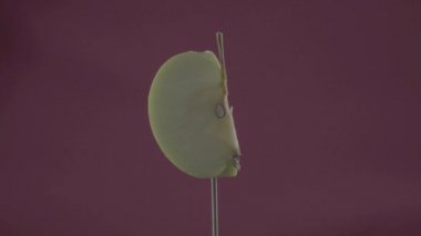 Elma renk anahtarı için fuşya ekran üzerinde döngü ile döner