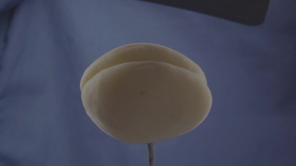 Aprikos roterande med ögla på blå skärm för kromnyckel — Stockvideo