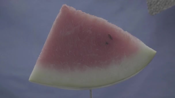 Watermelon rotating with loop on blue screen for chroma key — Stock Video