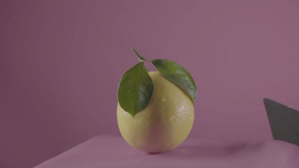 크로마 키에 대 한 푸크시아 화면에서 루프와 함께 회전 레몬 — 비디오