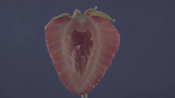 크로마 키에 대 한 파란색 화면에 루프와 함께 회전하는 딸기 — 비디오