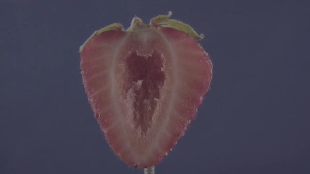 Fragola rotante con anello sullo schermo blu per chiave cromatica — Video Stock