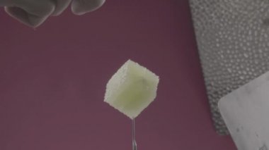 Renk tuşu için mor ekran üzerinde döngü ile limon döndürme