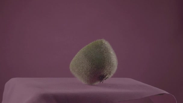 Kiwi rotiert mit Schlaufe auf Fuchsia-Bildschirm für Chroma-Taste — Stockvideo