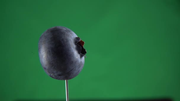 Blueberry rotating with loop on green screen for chroma key — Stock Video