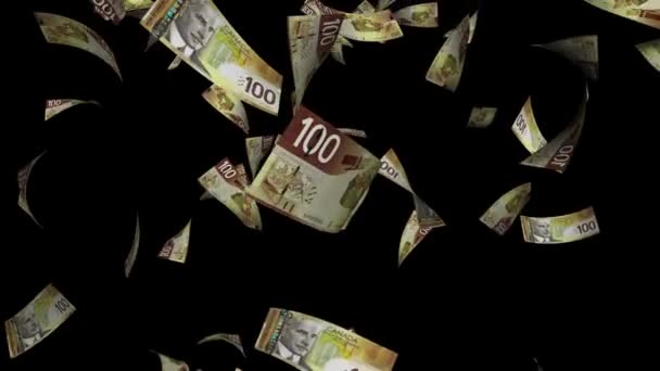 Kanada faturaları düşüyor — Stok video