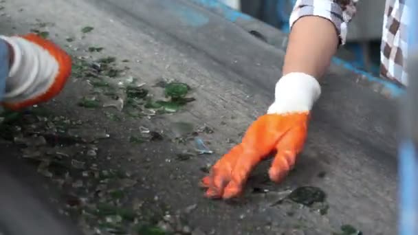 Сортування recycle скла — стокове відео