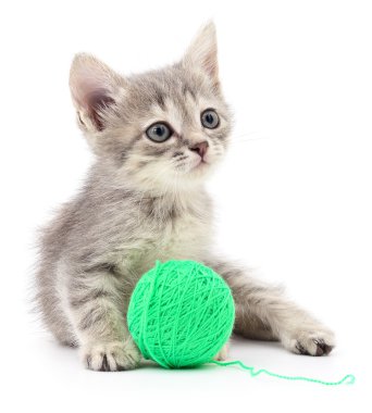 yavru kedi yumağı ile.