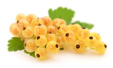 Beyaz arka planda yeşil yapraklı üzümler.