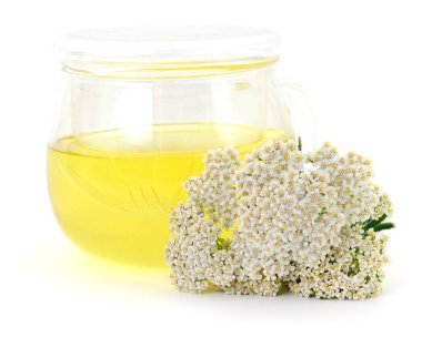 Beyaz arka planda izole edilmiş taze beyaz çiçekli sarı bitki bahçesi çayı. Antioksidan ve şifalı bitkiler açısından zengin doğal organik içecek.