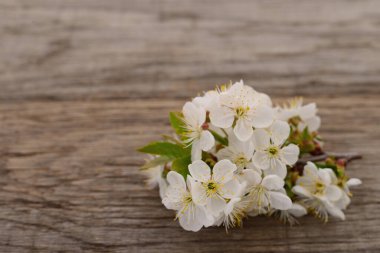 Kırsal ahşap arka planda yeşil yapraklı narin beyaz bahar çiçekleri, tazeliği ve doğayı sembolize eden doğal çiçek kompozisyonu.