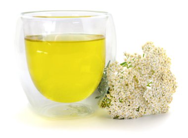 Taze bitki örtüsü çaylı cam bardak ve beyaz arka planda izole edilmiş beyaz kiraz çiçeği doğal tıp ve bitkisel ilaç konsepti..