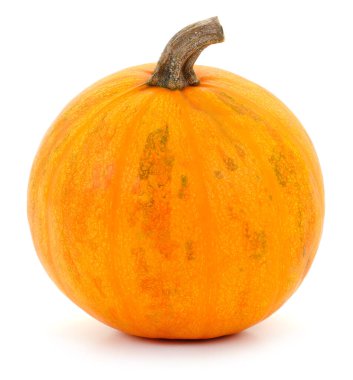 Parlak turuncu balkabağı. Beyaz arka planda izole edilmiş doğal dokusu ve kısa gövdesi var..