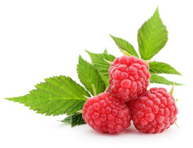 Ahududu ve yaprakları.