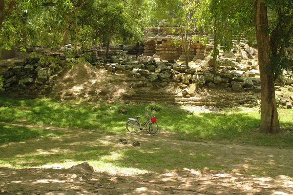 Asya ormanda yalnız motosiklet