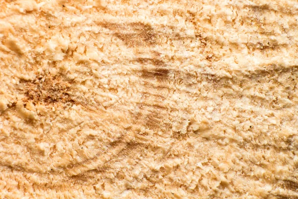 Sawn Logs Exposing Cross Section Cracks Macro Shot Texture Background — Stock Photo, Image