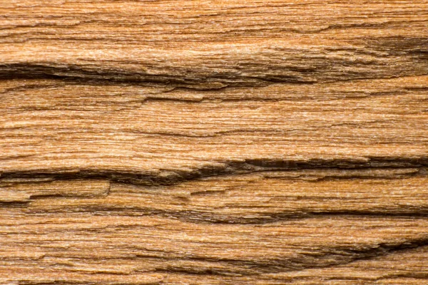 Texture Log Log Split Macro Shot Wood Fibers Visibl — Stock Photo, Image