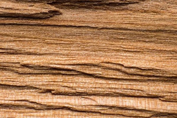 Texture Log Log Split Macro Shot Wood Fibers Visibl — Stock Photo, Image