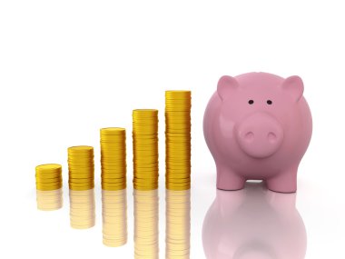 Domuzcuk altın sikke ile