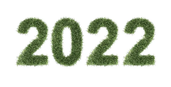 Новий Рік 2022 Концепція Креативного Дизайну Травою Рендеринговий Образ — стокове фото