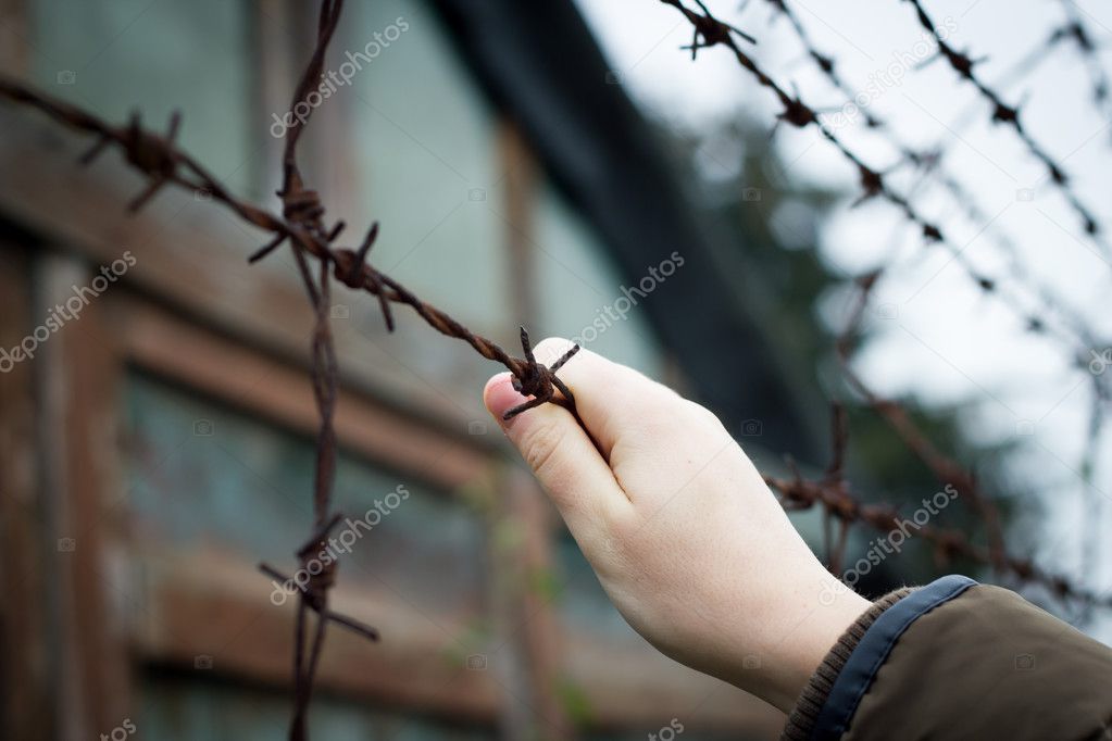 Refugee trying to climbing the barbed wire; trying to break free