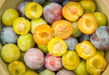 kase Erik çeşitleri dolu