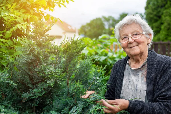 Mulher sênior ativa cuida de seu enorme jardim, um conceito de jardinagem pensionista de atividade — Fotografia de Stock