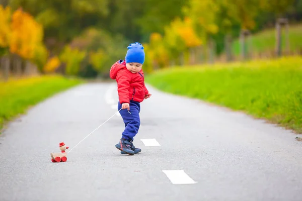 Mooi kind met houten speelgoed of eendje aan een touwtje in de buitenlucht — Stockfoto