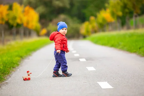 Criança encantadora com brinquedo de madeira ou patinho em uma corda no exterior — Fotografia de Stock