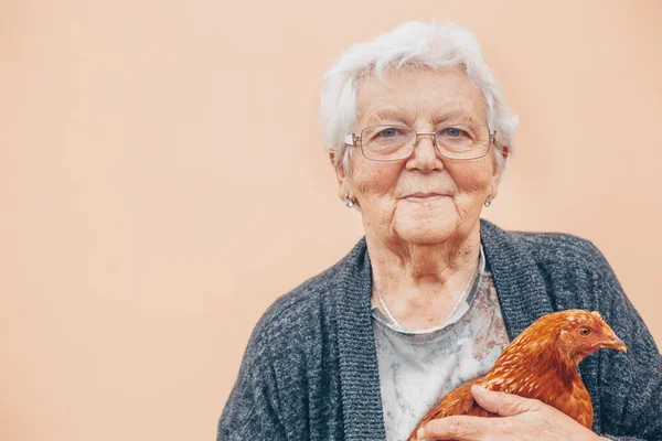 Прекрасная бабушка или бабушка с курицей в руках, домашние животные — стоковое фото
