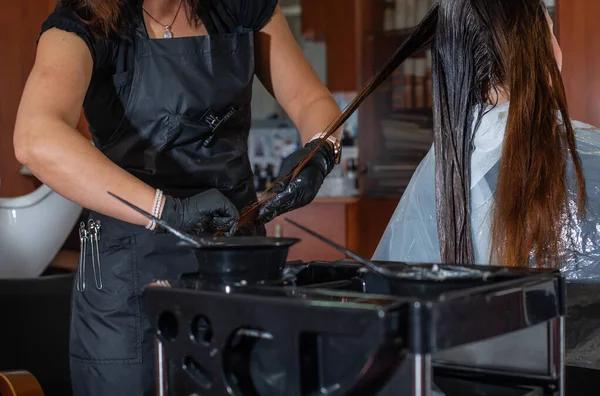 Processen med hårfarvning i frisørstudiet af en stylist eller frisør - Stock-foto
