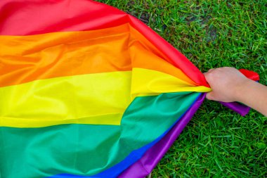 Ellerinde gökkuşağı gurur bayrağı tutan bir grup insan, gay ve lezbiyen kavramı, LGBTQ