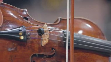 Telli bir enstrümanla klasik müzik parçası çalan bir kemancının yakın çekimi.