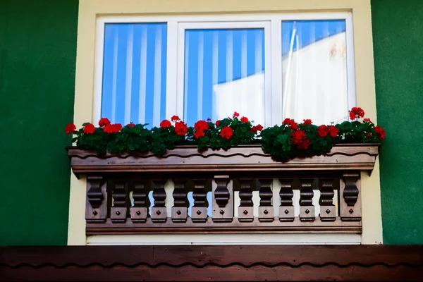 Ventana con flores — Foto de Stock