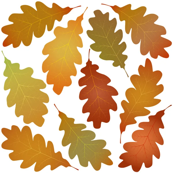 Hojas de roble de otoño — Vector de stock