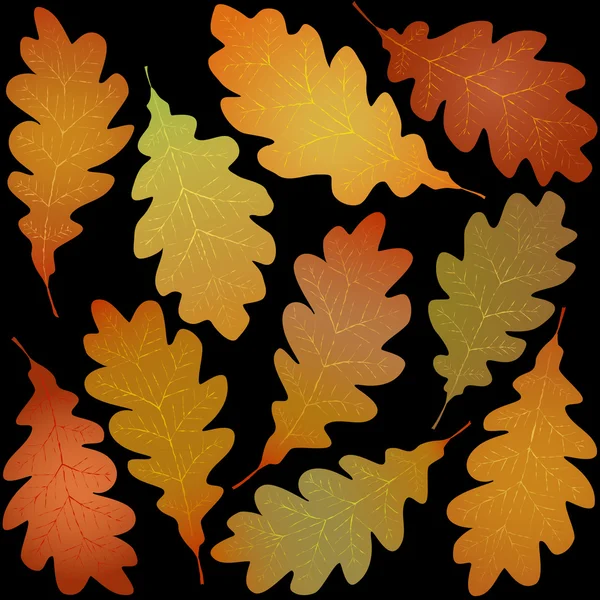 Осенние листья дуба — стоковый вектор