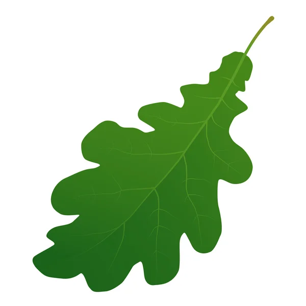 녹색 오크 잎 — 스톡 벡터
