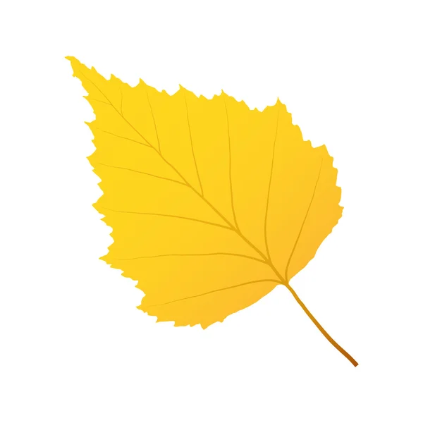 Abedul de hoja de otoño — Vector de stock